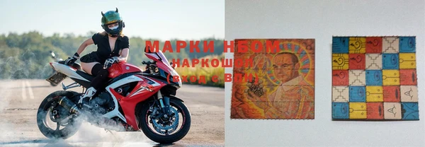 Альфа ПВП Зеленокумск