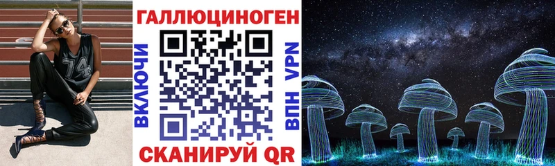 Псилоцибиновые грибы Magic Shrooms где купить наркотик Каргат
